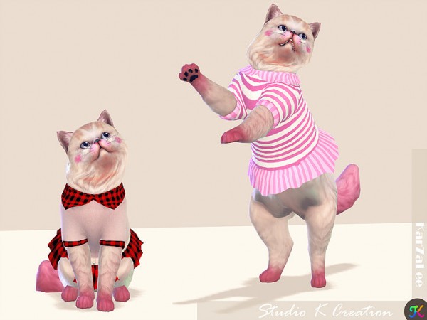  Studio K Creation: Cat dress N1
