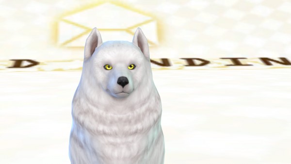  Simsworkshop: Pet Eyes by ShadowEatsSkittlez