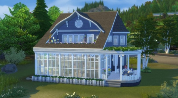  Sims Artists: Blue house
