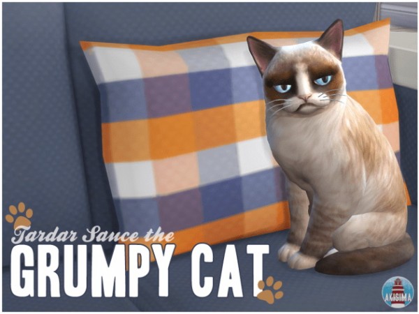  Akisima Sims Blog: Grumpy Cat