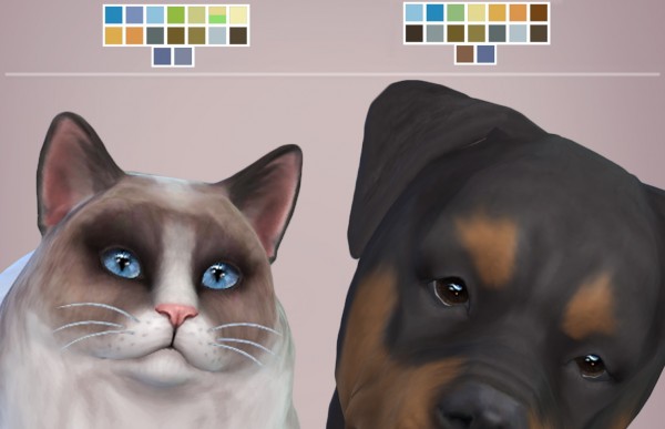  Mod The Sims: Real Eyes   Cats and Dogs by kellyhb5