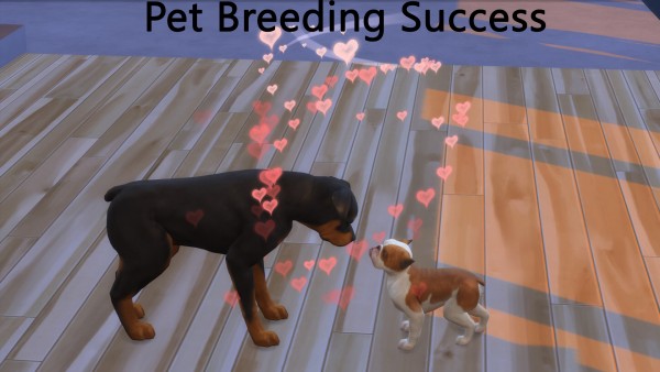  Mod The Sims: Pet Pregnancy Success by pd1ds