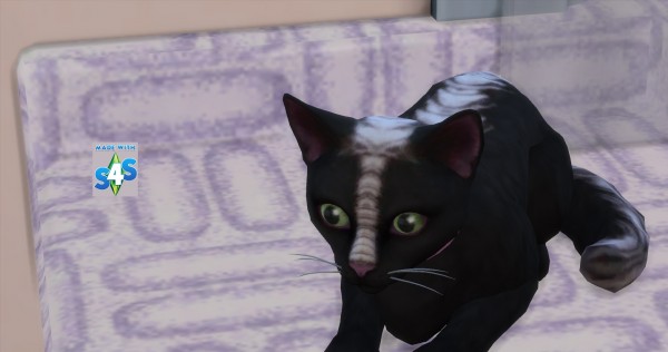  Mod The Sims: Cats and Dogs Nose, Ears and Paws 10 Recolours by wendy35pearly