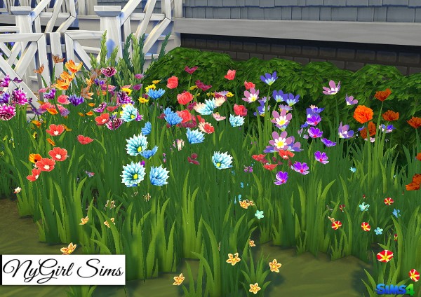  NY Girl Sims: Wildflower Assortment
