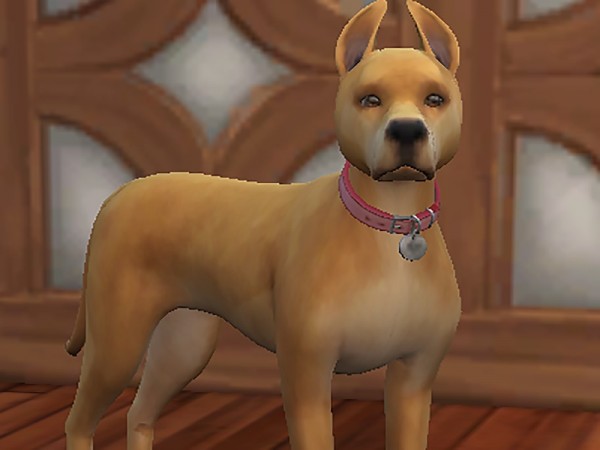  The Sims Resource: Miss Marla dog by Kidakane