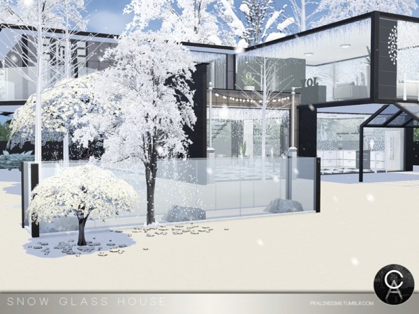  The Sims Resource: Snow Glass House by Pralinesims