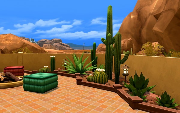  Ihelen Sims: Desert Cactus by Rany Randolff
