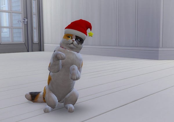  Studio K Creation: Christmas hat for pet