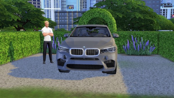  Lory Sims: BMW X6M
