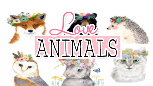  Mony Sims: Love Animal Frames