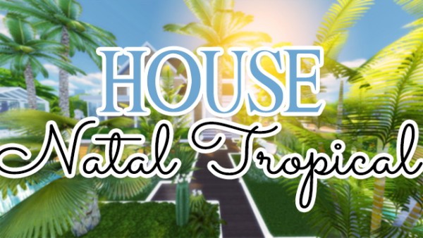  Mony Sims: Natal Tropical house