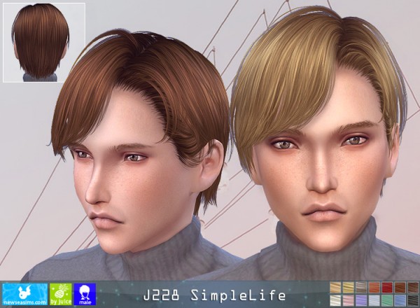  NewSea: J228 Simplelife donation hairstyle