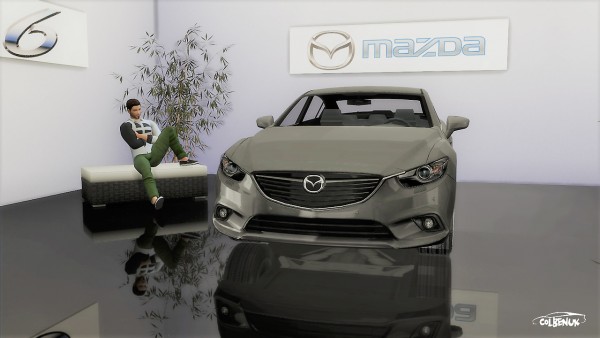  Lory Sims: 2013 Mazda 6