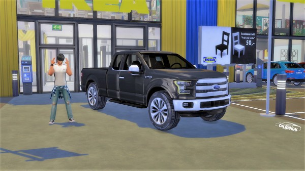  Lory Sims: Ford F 150