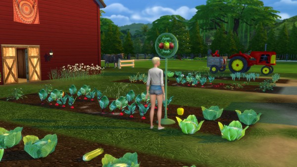  Mod The Sims: Produce and Fish Market Themed Restock Sign Overrides by Snowhaze