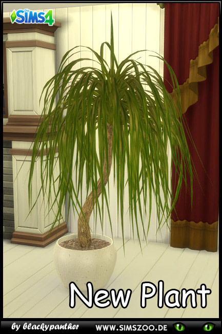  Blackys Sims 4 Zoo: New plant by blackypanther