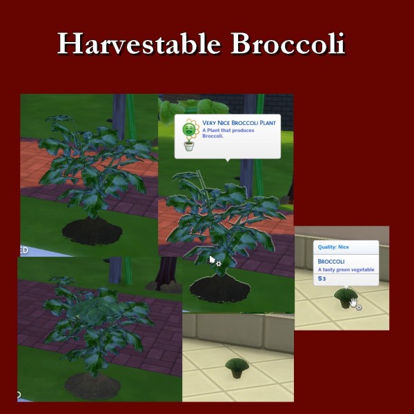  Simsworkshop: Harvestable Broccoli by Leniad