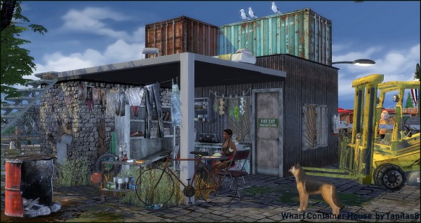  Tanitas Sims: Whiskerman Wharf Container House