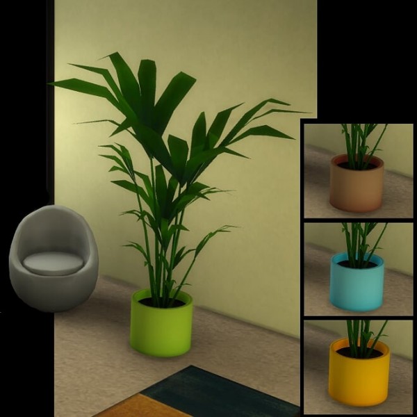  Sims 4 Studio: Kentia palm