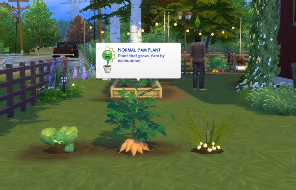  Mod The Sims: Harvestable Broccoli, Yam and Spring Onion by icemunmun