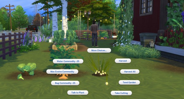  Mod The Sims: Harvestable Broccoli, Yam and Spring Onion by icemunmun