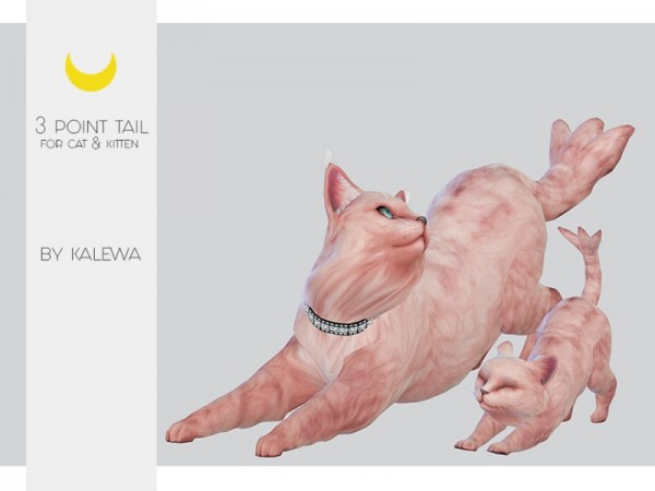  The Sims Resource: Cat Kitten   Three Point Tail by Kalewa a