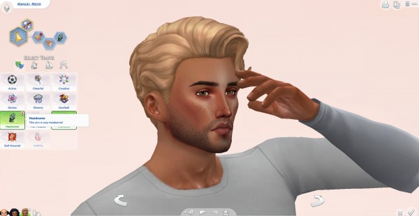  Mod The Sims: The Handsome Trait by kawaiistacie