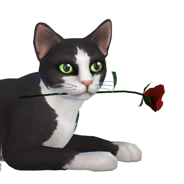  Mod The Sims: Rose for your Animals by TheKalino