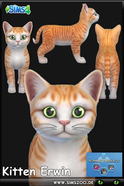  Blackys Sims 4 Zoo: Erwin cat by Schnattchen