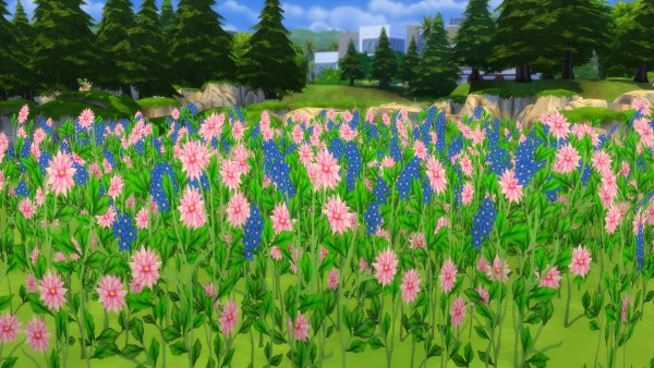  Mod The Sims: Early Spring: Fields of Wildflowers by Snowhaze