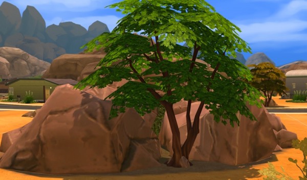 Sims Artists: Terra OS1