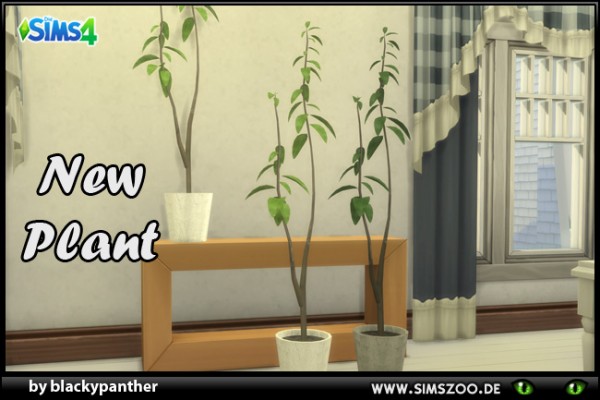  Blackys Sims 4 Zoo: New plant 9 by blackypanther