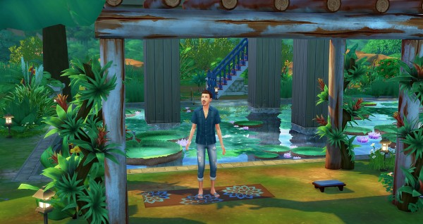 Studio Sims Creation: Brior house