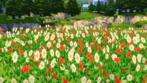  Mod The Sims: Early Spring: Fields of Wildflowers by Snowhaze