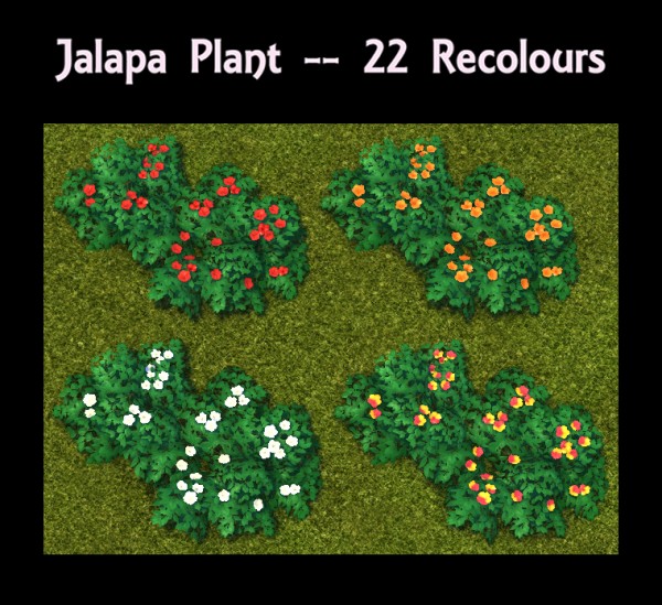  Mod The Sims: Jalapa Plant by Simmiller