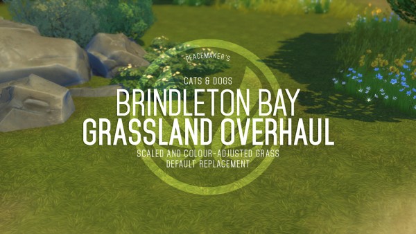  Simsational designs: Brindleton Bay Grassland Overhaul Grass