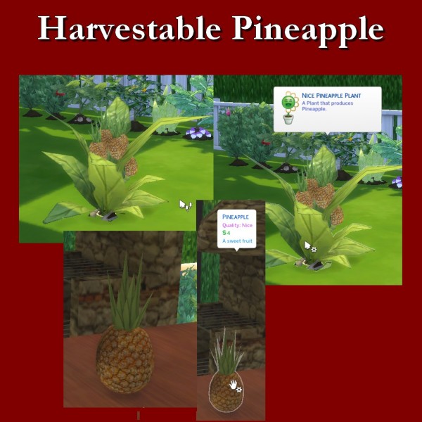  Simsworkshop: Harvestable Pineapple by Leniad
