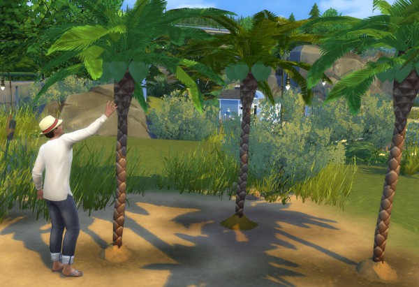 Mod The Sims: Harvestable Coconut by icemunmun