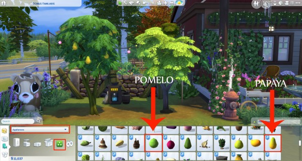  Mod The Sims: Harvestable Papaya and Pomelo by icemunmun