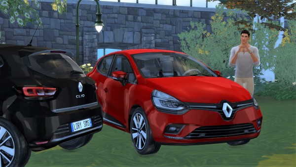 Lory Sims: Renault Clio