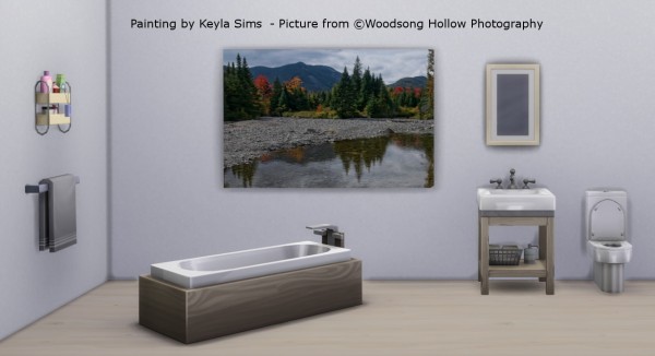  Keyla Sims: Paintings Hollow Photography