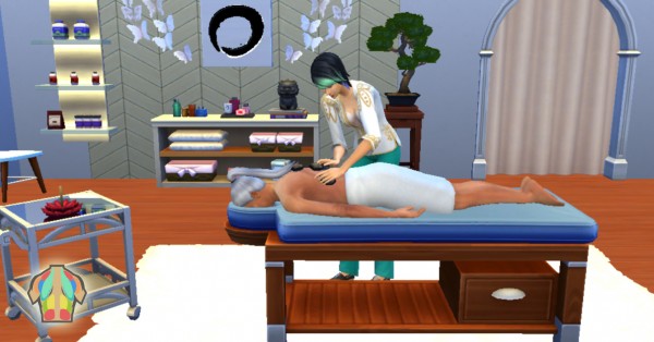  Mod The Sims: Wellness Career by Marduc Plays
