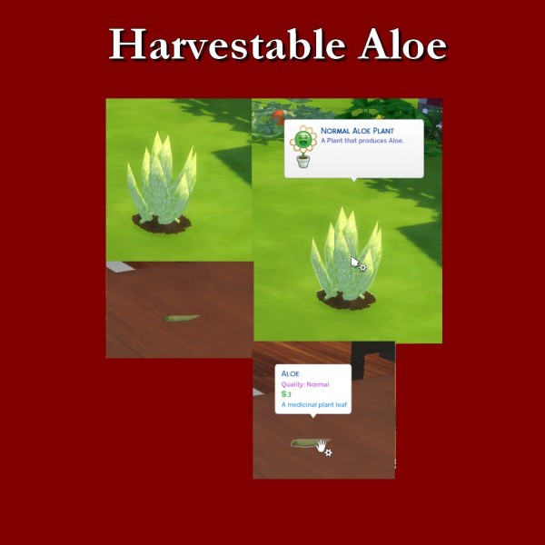  Simsworkshop: Harvestable Aloe by Leniad
