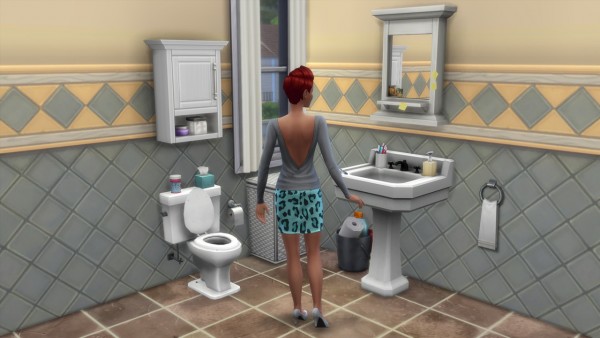  Mon Sims: Basics sink