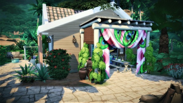  Agathea k: Mini Jungle House