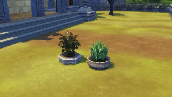  Mod The Sims: Planters from TS3 by TheJim07