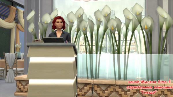 Sims 3 by Mulena: Restaurant Graduate