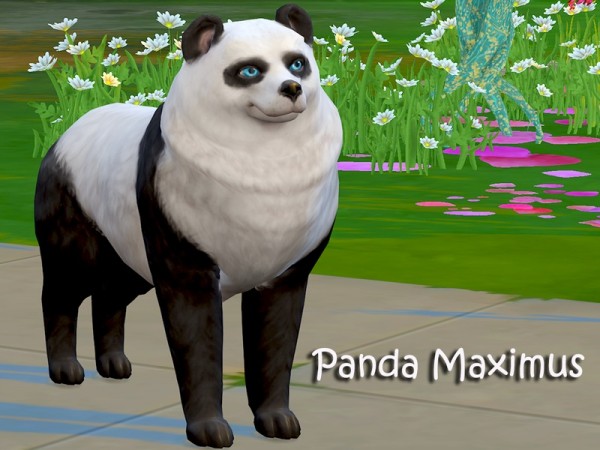  The Sims Resource: Panda Maximus by Sims House