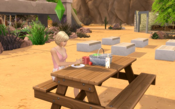  Mod The Sims: Functional Picnic Basket by fire2icewitch