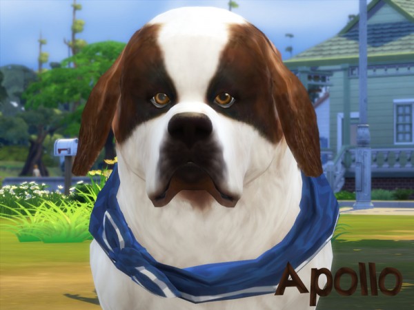  The Sims Resource: Apollo by animal sim